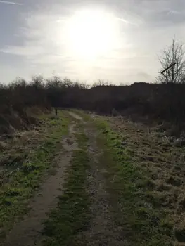 De Panne (België)